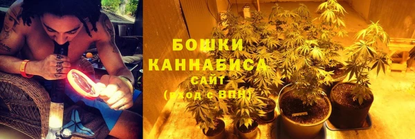мет Бородино