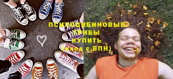 мет Бородино